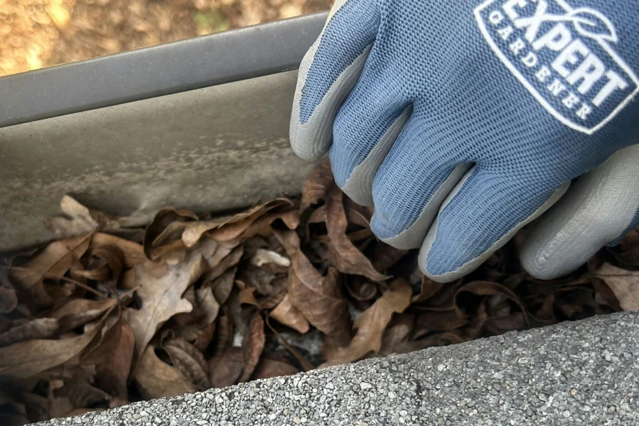 Gutter Cleaning Webster