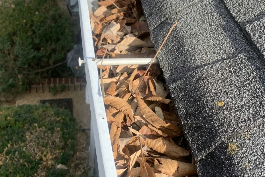 Gutter Cleaning Webster