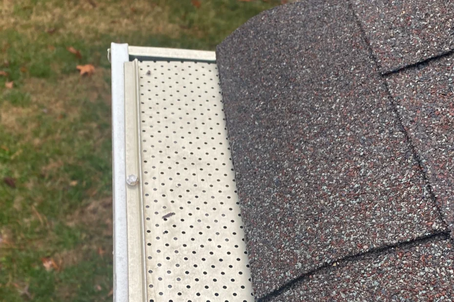 Gutter Cleaning Webster