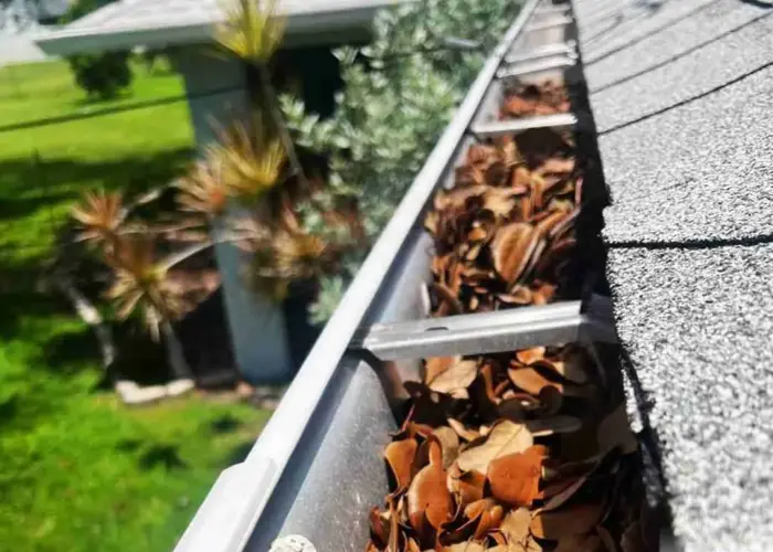 Gutter Cleaning Webster home page